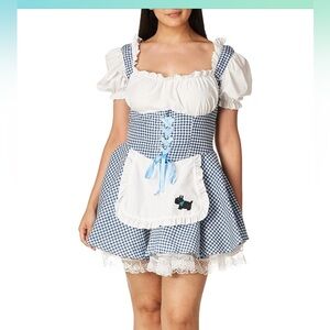 California Costumes Gingham Mini Dress with Apron